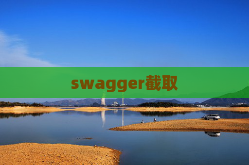 swagger截取